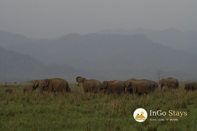 What to Pack for a Corbett Safari: A Light, Useful Checklist