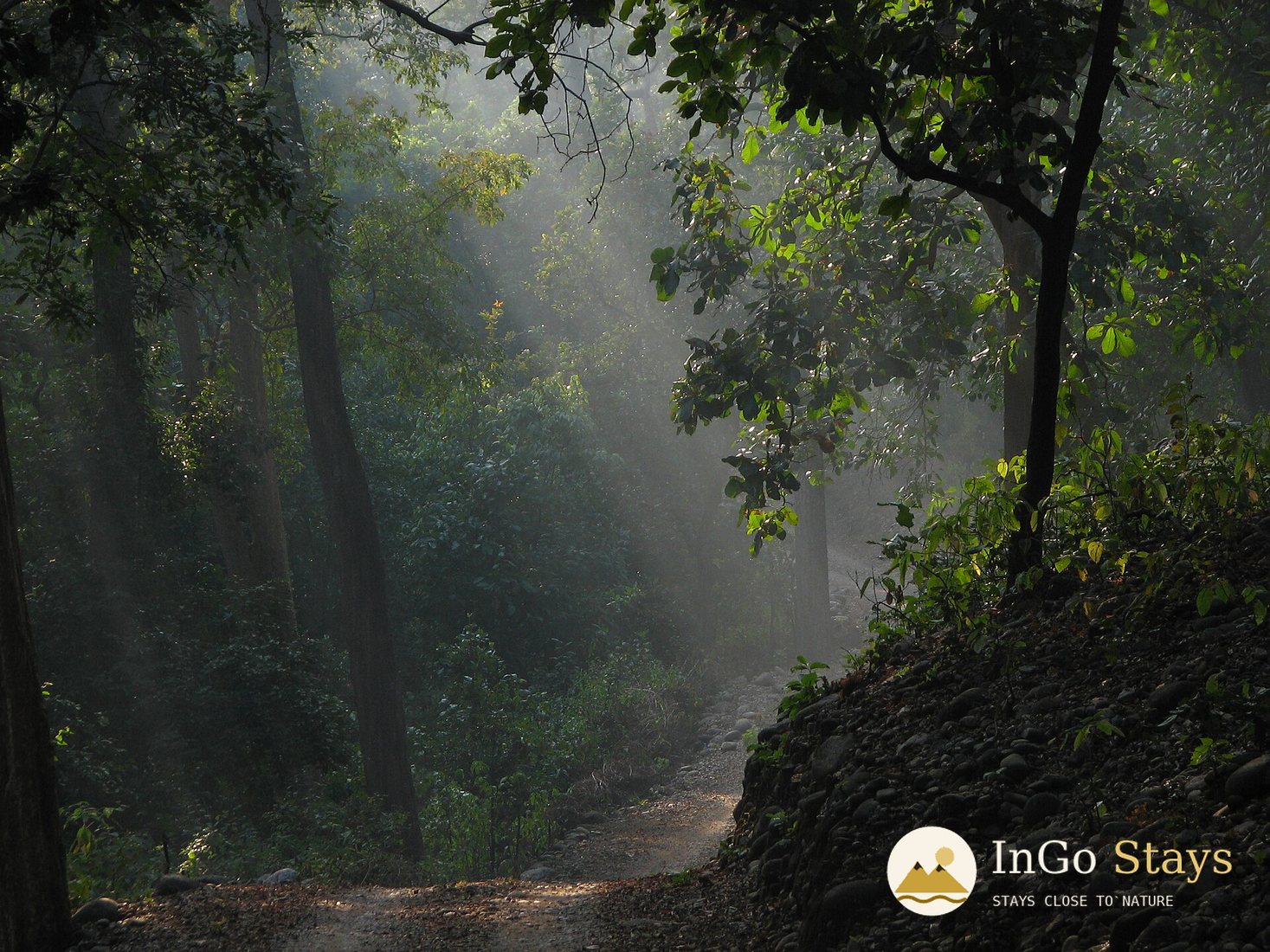Explore wild habitats at The Big Mama Eco Resort, Ramnagar