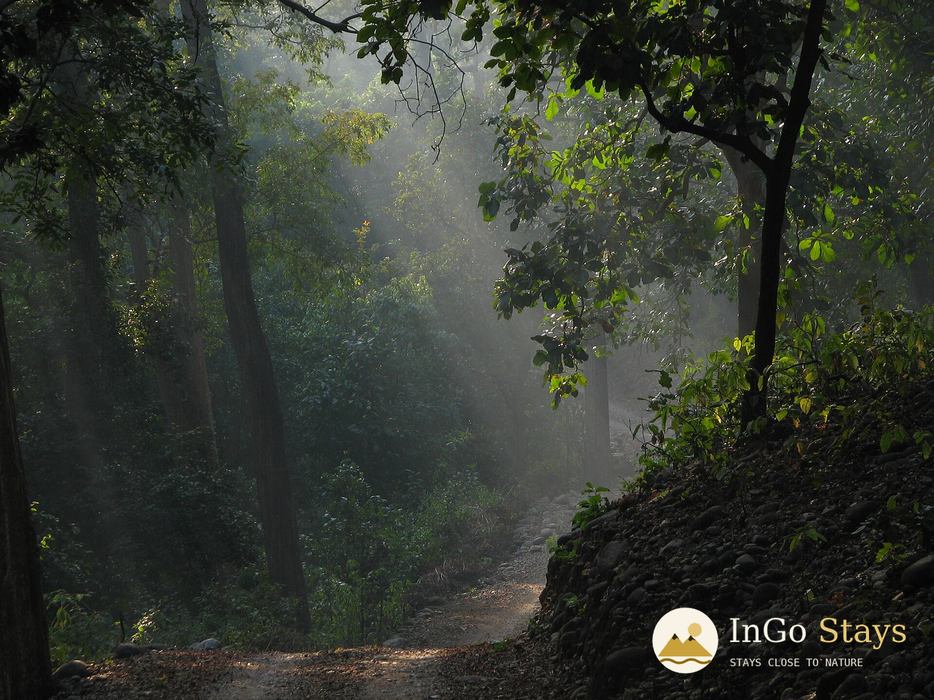Corbett Tiger Reserve forest landscape